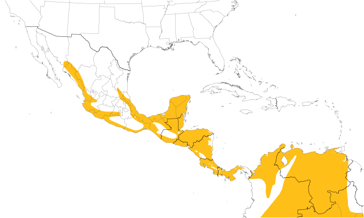 Range Map (Central): Social Flycatcher