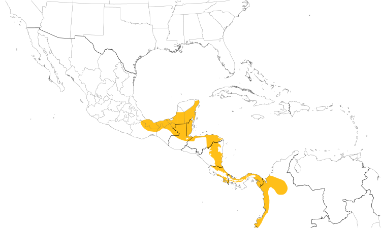 Range Map (Central): Sulphur-rumped Flycatcher