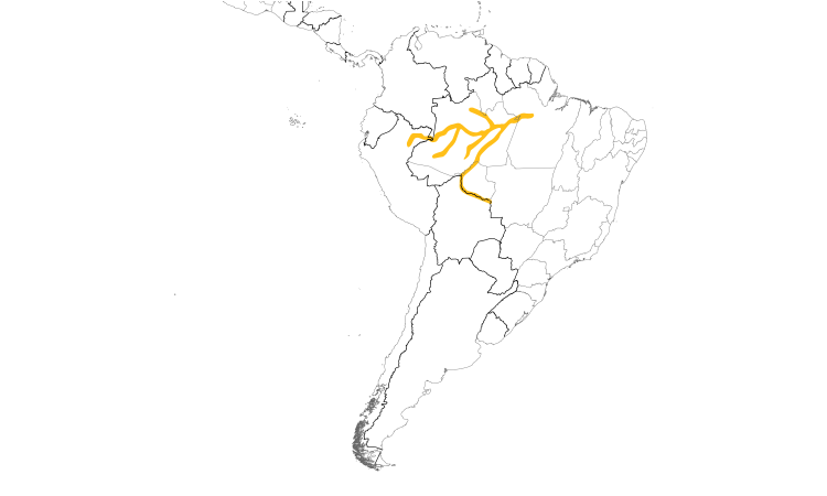 Range Map (South): Leaden Antwren
