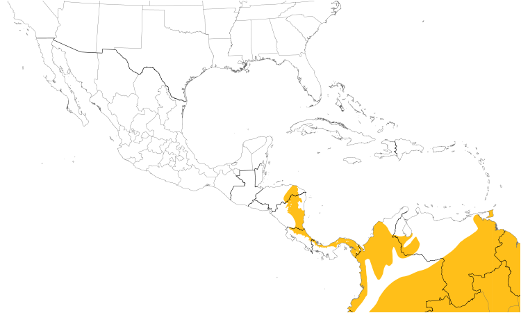 Range Map (Central): White-flanked Antwren