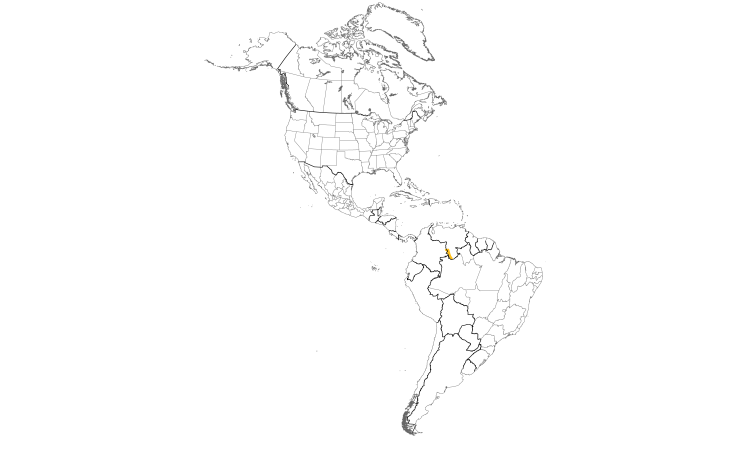 Range Map (Americas): Yapacana Antbird