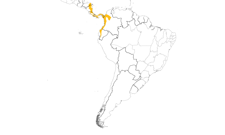 Range Map (South): Chestnut-backed Antbird