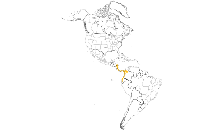 Range Map (Americas): Chestnut-backed Antbird
