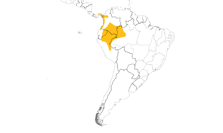 Range Map (South): Moustached Antwren