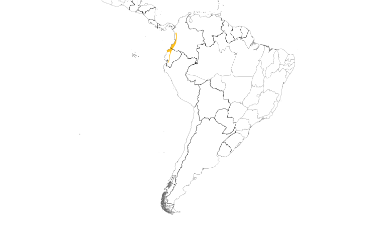 Range Map (South): Esmeraldas Antbird
