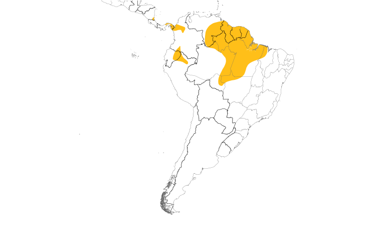 Range Map (South): Wing-banded Antbird
