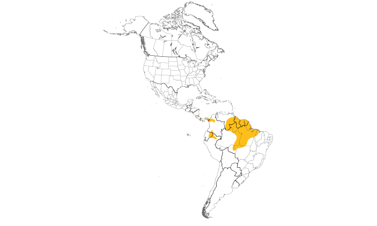 Range Map (Americas): Wing-banded Antbird