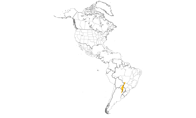 Range Map (Americas): Nanday Parakeet
