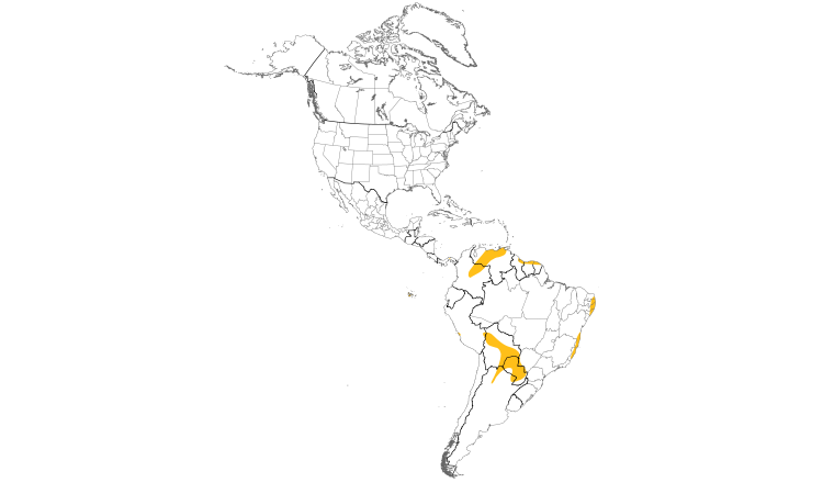 Range Map (Americas): Paint-billed Crake
