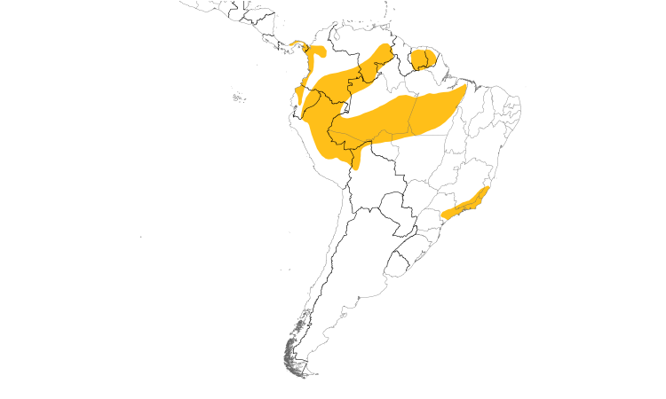Range Map (South): White-thighed Swallow