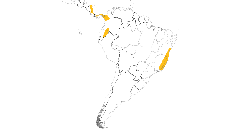 Range Map (South): Rufous-vented Ground-Cuckoo