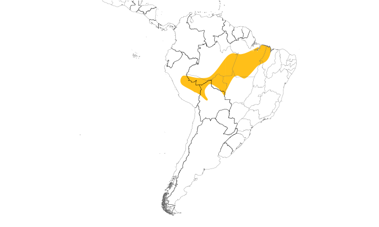 Range Map (South): Scaled Ground-Cuckoo