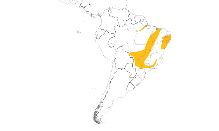 Range Map (South): Pale-bellied Tyrant-Manakin