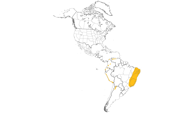 Range Map (Americas): Southern Pochard