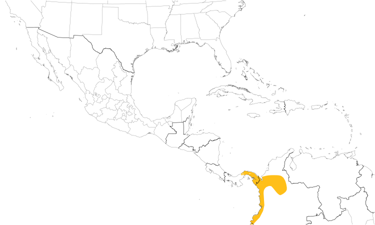 Range Map (Central): Black-breasted Puffbird