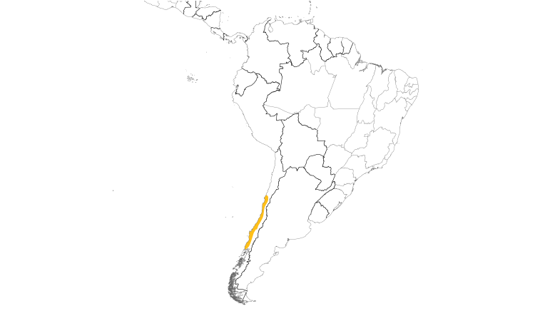 Range Map (South): Chilean Tinamou