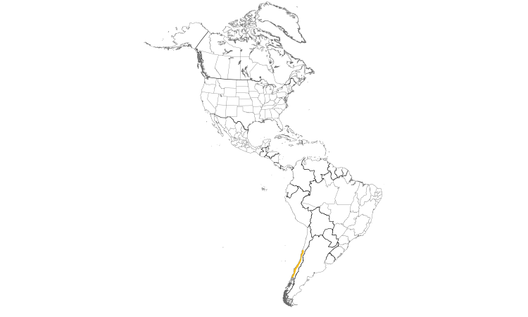 Range Map (Americas): Chilean Tinamou