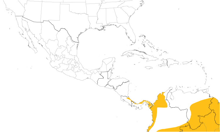 Range Map (Central): Pied Puffbird