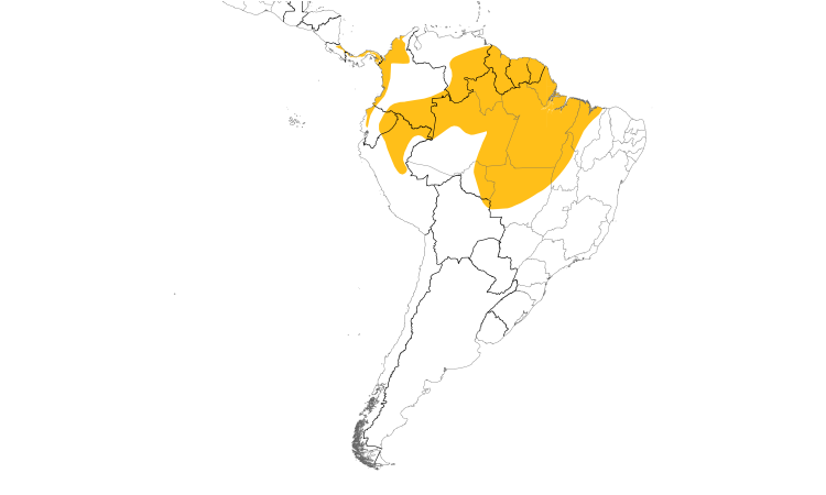 Range Map (South): Pied Puffbird