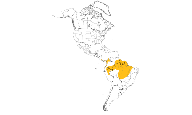 Range Map (Americas): Pied Puffbird