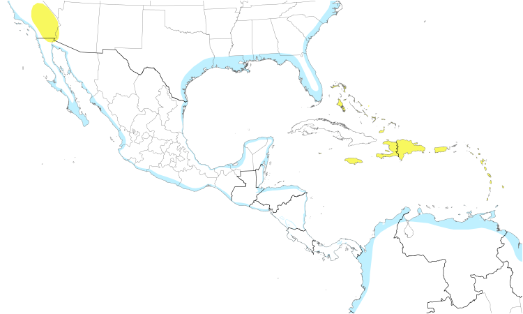 Range Map (Central): Whimbrel