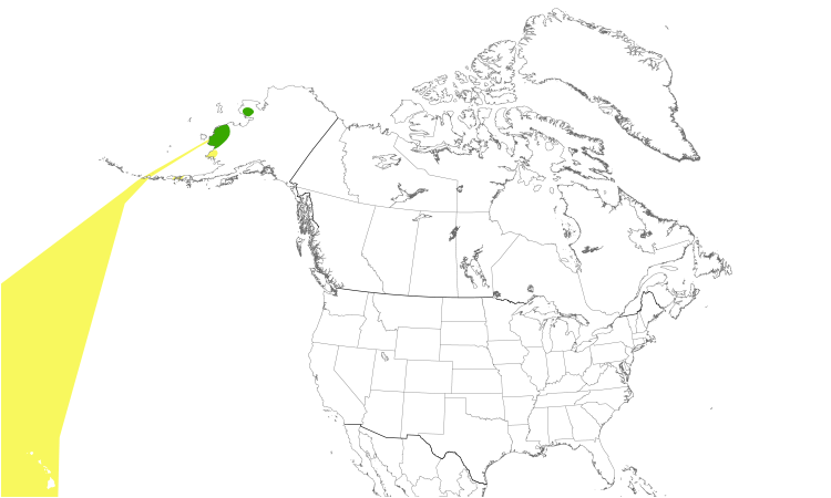 Range Map (North): Bristle-thighed Curlew