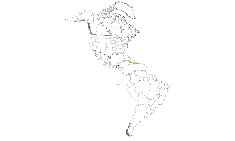 Range Map (Americas): Helmeted Guineafowl