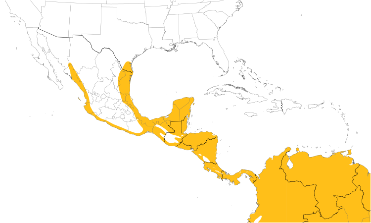 Range Map (Central): Common Pauraque