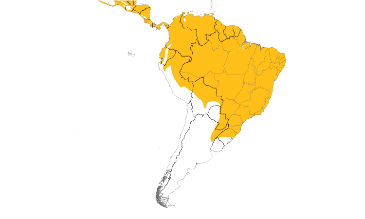 Range Map (South): Common Pauraque