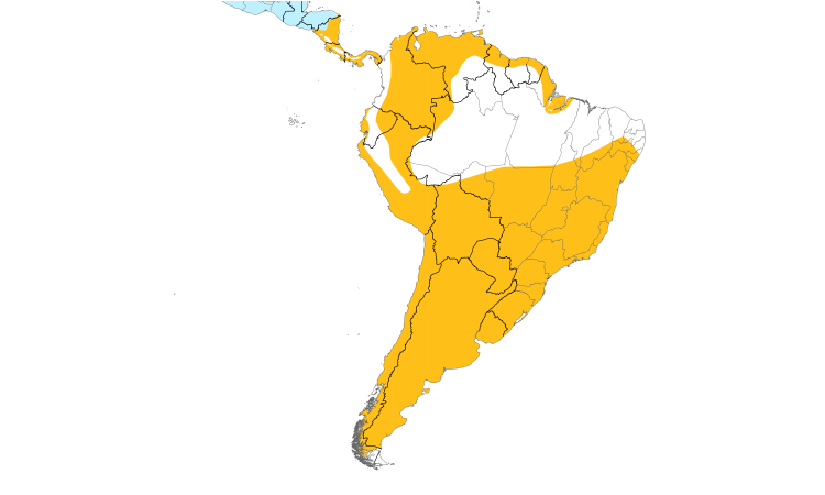 Range Map (South): Black-crowned Night-Heron
