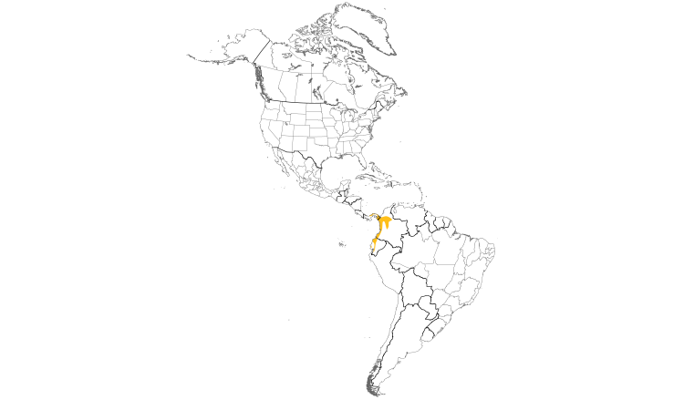 Range Map (Americas): Barred Puffbird