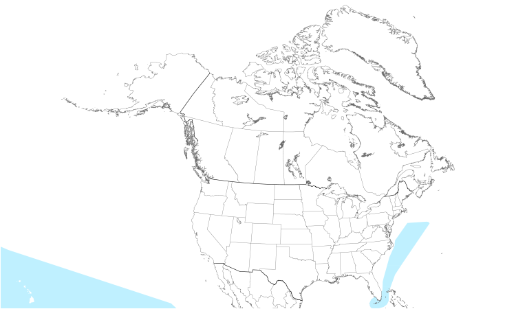 Range Map (North): Band-rumped Storm-Petrel