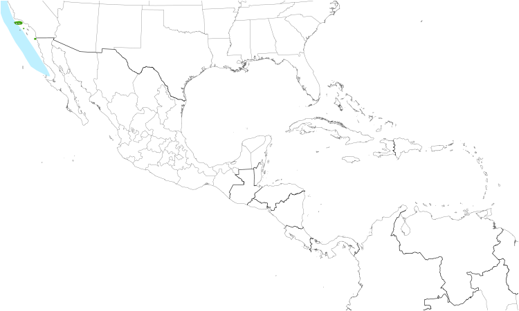 Range Map (Central): Ashy Storm-Petrel