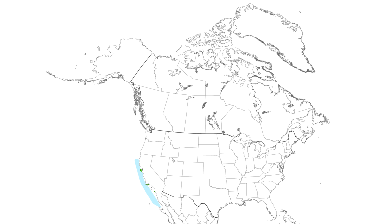 Range Map (North): Ashy Storm-Petrel