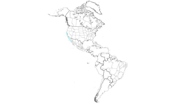 Range Map (Americas): Ashy Storm-Petrel
