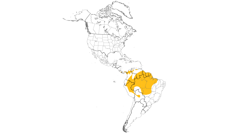 Range Map (Americas): Marbled Wood-Quail