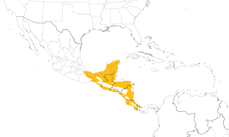 Range Map (Central): Northern Bentbill