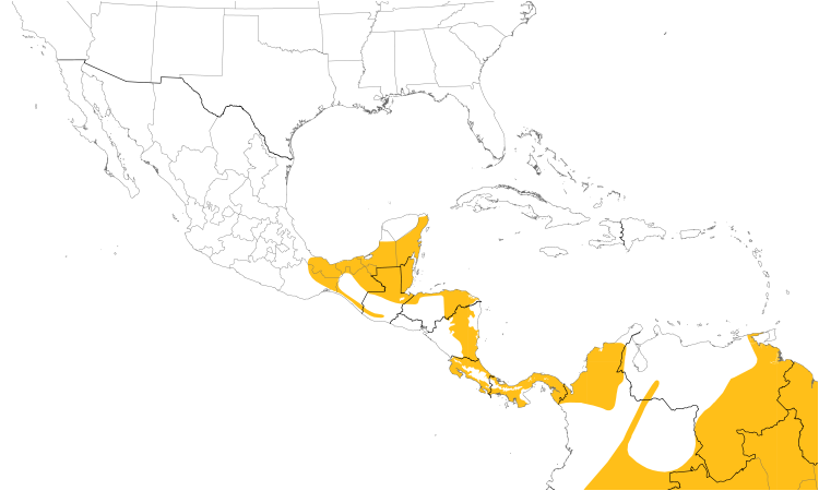 Range Map (Central): Royal Flycatcher