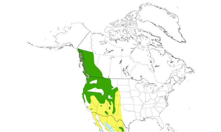 Range Map (North): MacGillivray's Warbler