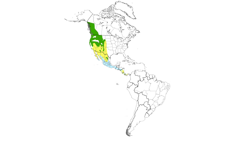 Range Map (Americas): MacGillivray's Warbler