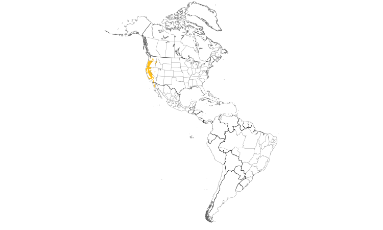 Range Map (Americas): Mountain Quail