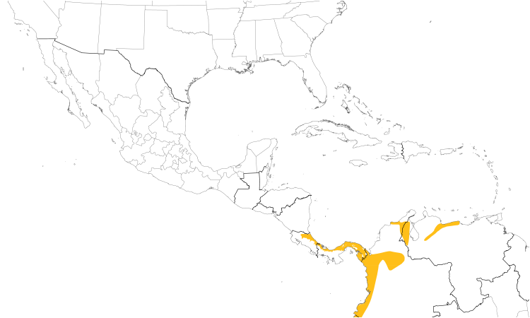 Range Map (Central): Brown-capped Tyrannulet