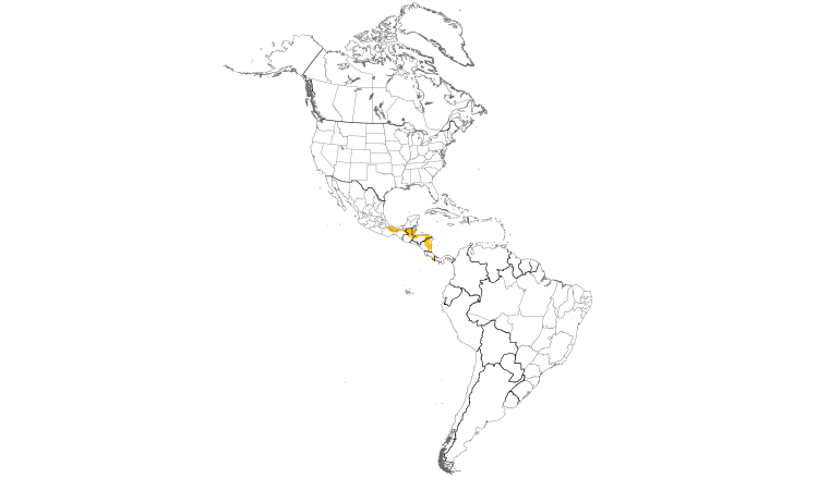 Range Map (Americas): Yellow-bellied Tyrannulet