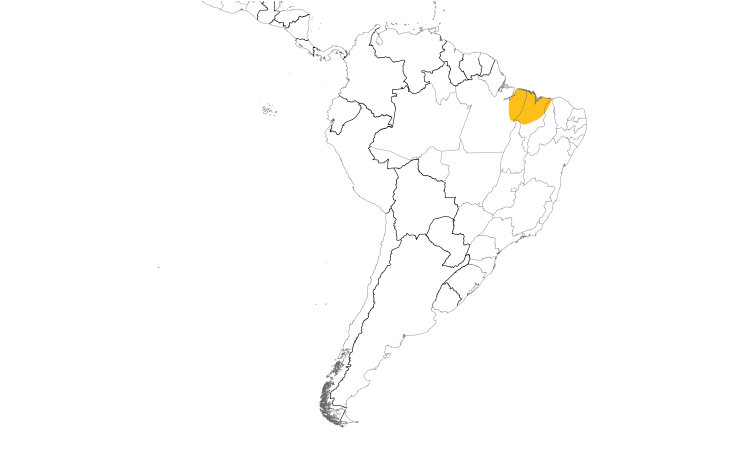 Range Map (South): Buff-browed Chachalaca