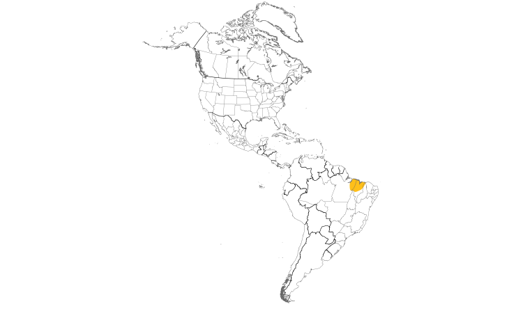 Range Map (Americas): Buff-browed Chachalaca
