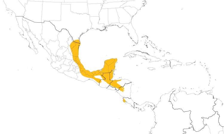 Range Map (Central): Plain Chachalaca