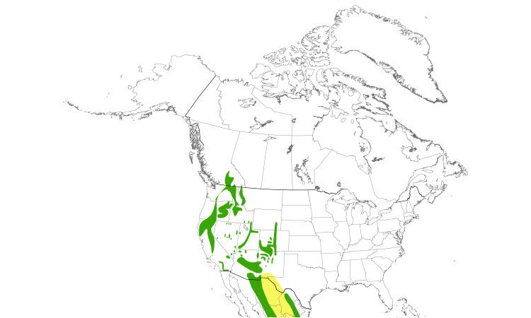 Range Map (North): Quiz Species