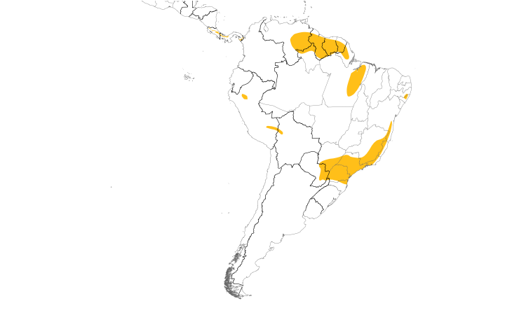 Range Map (South): Sharpbill