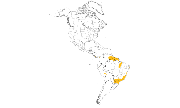 Range Map (Americas): Sharpbill