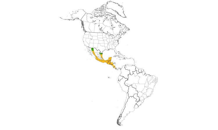 Range Map (Americas): Rose-throated Becard